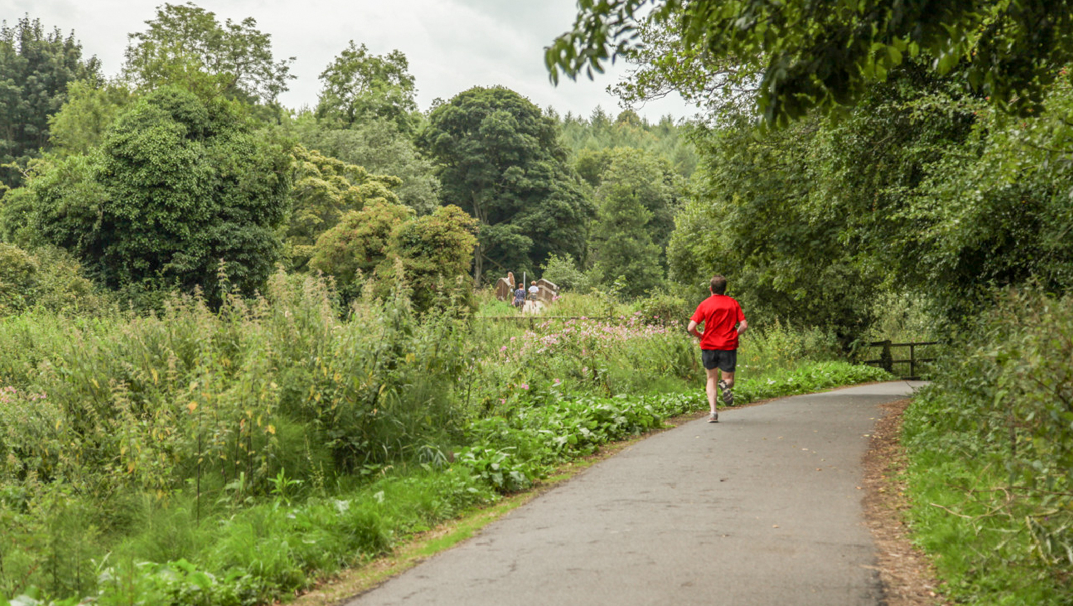view from Lagan Meadows