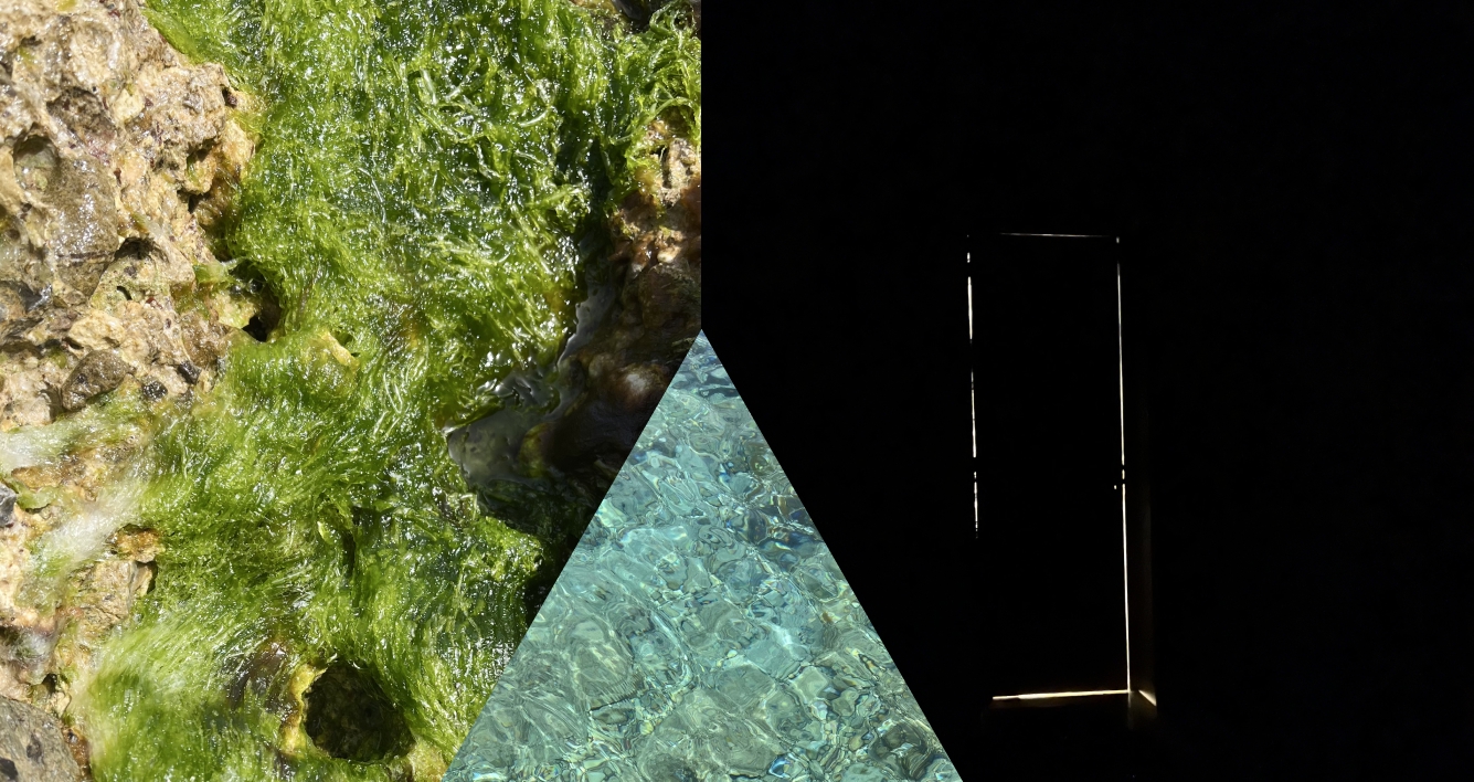 textures from the island